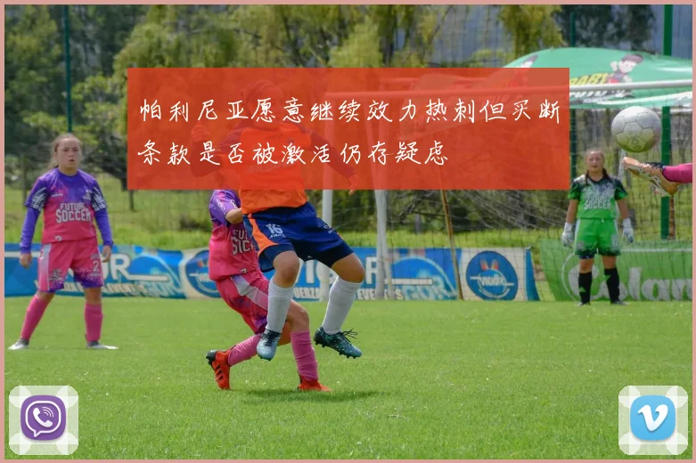 帕利尼亚愿意继续效力热刺但买断条款是否被激活仍存疑虑